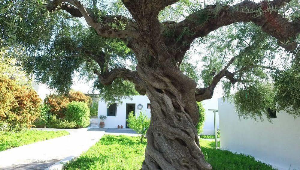 Niriides Villas Selinitsa Buitenkant foto
