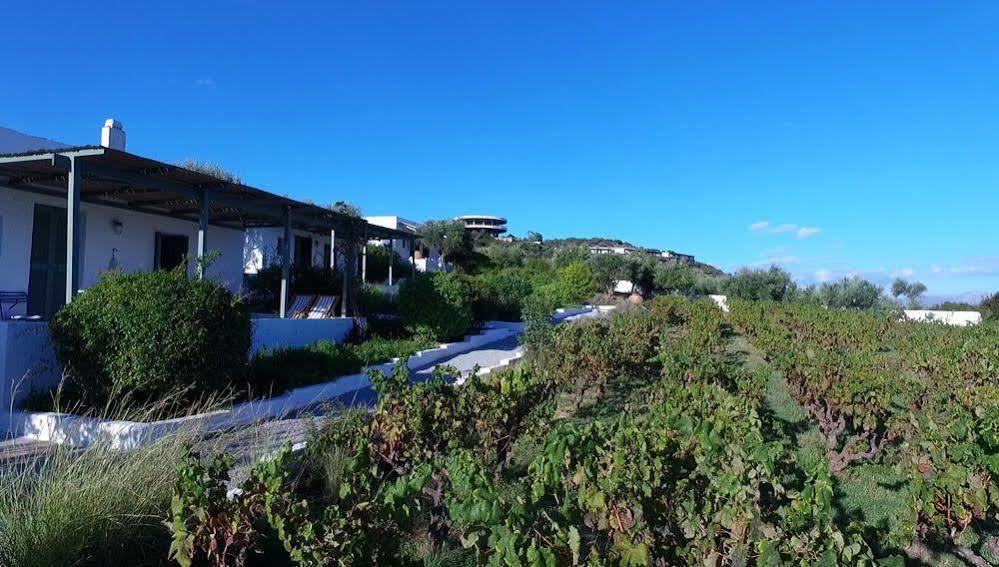Niriides Villas Selinitsa Buitenkant foto